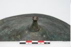 Foto von Bronzephalere (NHMW-PRAE-025544)